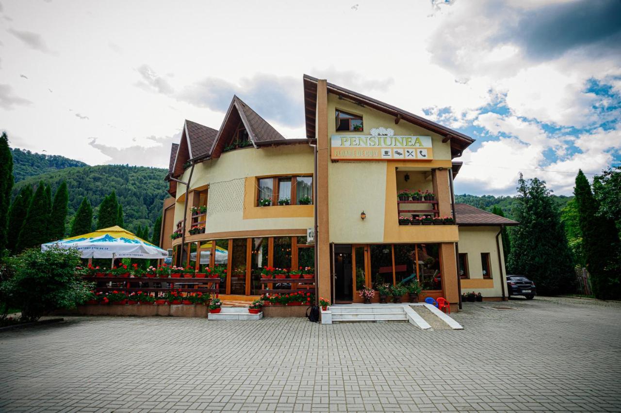 Pensiunea Floare De Colt Dragoslavele Exterior photo
