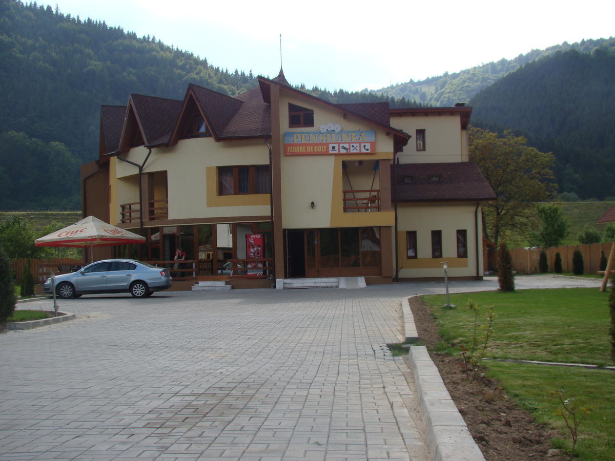 Pensiunea Floare De Colt Dragoslavele Exterior photo