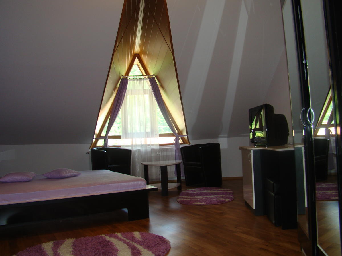 Pensiunea Floare De Colt Dragoslavele Room photo
